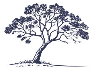 Broadleaf Tree Vector Art for Nature-Inspired Designs