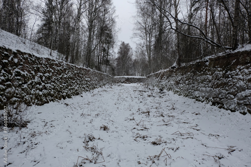Poster a serene winter scene with a snowy forest pathway surrounded by trees.