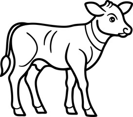Calves outline icon on white background