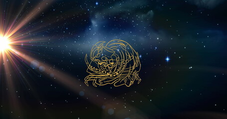 Composition of aquarius star sign over starry night sky