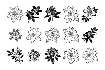 Azalea svg