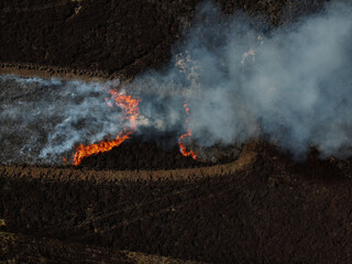 Burning Heather on Moors.