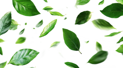 Falling Green Leaves Background