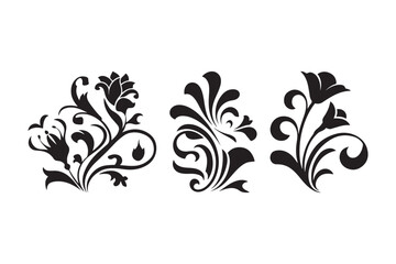 Floral Ornament Design Black and White Decorative Vector