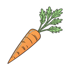 Close-up of a fresh, vibrant orange carrot with lush green leaves.