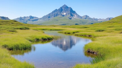 Serene alpine meadow reflecting a mountain peak