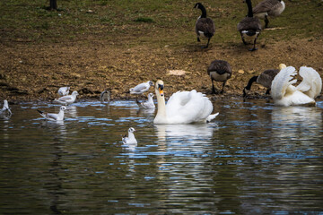 Other side of the lake