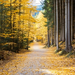 Obraz premium Scenic autumn hiking trail through golden forest 