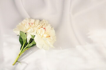 Bouquet of delicate flowers peonies, roses on a sunny table for a gift to loved ones. Spring still life and banner for the screen, elegant beauty concept, template for design. 