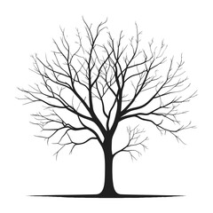 Fototapeta premium A simple, black silhouette of a deciduous tree without leaves, depicted against a pure white backdrop.