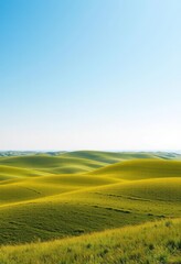 Fototapeta premium Vast, undulating green prairie under a clear sky , meadow, horizon
