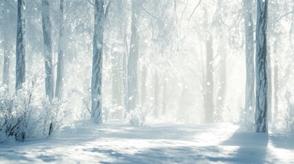 Serene Winter Wonderland Scene