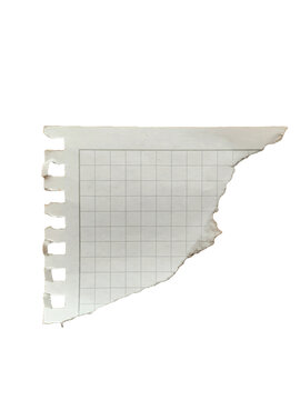 Torn square graph paper with spiral notebook holes and jagged edge isolated on transparent background