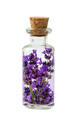 Isolated Lavender in Small Glass Bottle