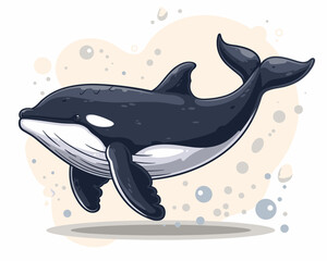 Obraz premium killer whale vector illustration on the theme of marine animals in a flat style