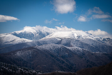 Snow-covered mountain peaks rising above forested slopes under a blue sky