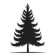 Obraz premium A clean, bold silhouette of a conifer tree against a white background.