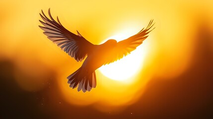 Silhouette of majestic bird with spread wings flying against bright orange sunset sky and glowing sun, creating dramatic backlit effect and peaceful atmosphere.
