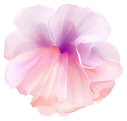 PNG Flower abstract petal plant.