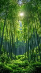 Obraz premium Peaceful Green Bamboo Grove Tranquil View High Resolution Wallpaper