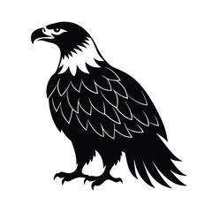 Bald Eagle vector silhouette