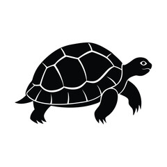turtle vector illustration