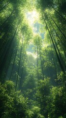 Obraz premium Rainy Forest Mossy Path Reflection High Resolution Wallpaper