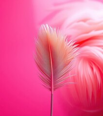 Obraz premium Single flamingo feather, vibrant pink background, soft lighting, soft, flamingo feather, single feather