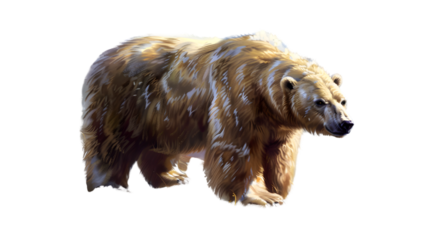 A majestic bear digital painting wildlife art nature illustration isolated on black backgro