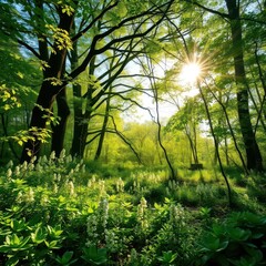 Fototapeta premium Sun-dappled English woodland floor, lush green foliage, late spring bloom, woods, shadows