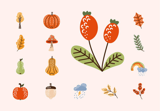 Colorful Autumn Leaves Fruits Nature Fall Icons Set