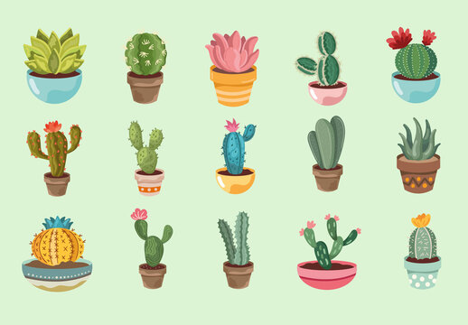 Colorful Cactus Nature Succulent Botanical Desert Illustration Set