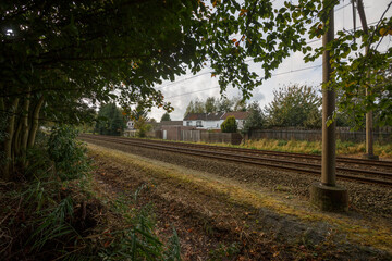Naklejka premium View of a quiet train track surrounded by trees and houses in a rural area during an overcast day
