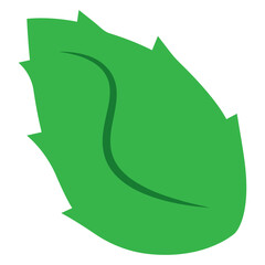 Isolated colored leaf sketch icon