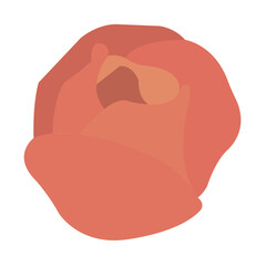 Isolated colored flower sketch icon