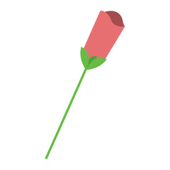 Isolated colored flower sketch icon