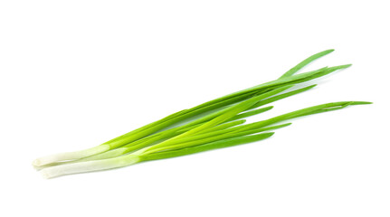 Fresh ripe green onions isolated on white