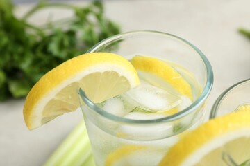 Healthy drink with lemon and parsley on table, closeup