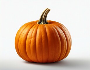 pumpkin isolated on white