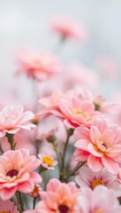 Obraz premium Soft-focus pastel floral backdrop, blurred bokeh effect, peace, whimsical