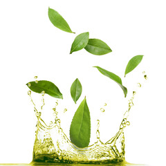 Fresh leaves falling into splashing green tea on white background