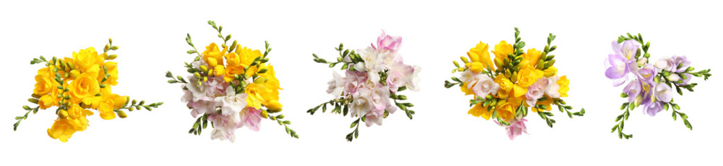 Fototapeta premium Beautiful freesia flowers on white background, set. Top view