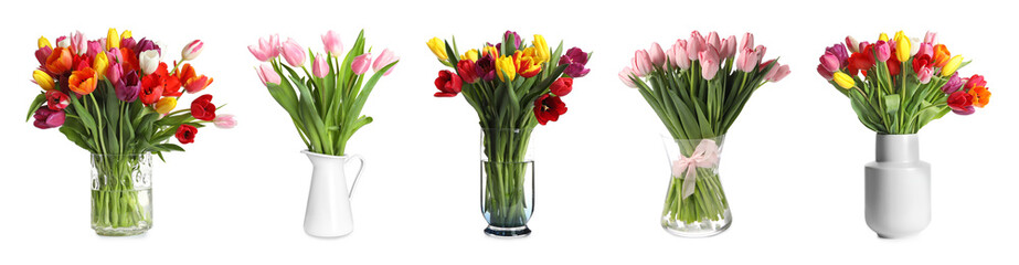 Bouquets of beautiful tulip flowers in different vases isolated on white, set