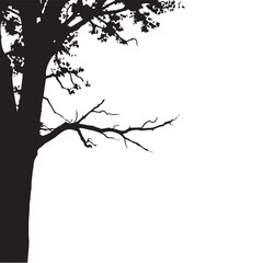 Tree silhouette. Black Tree silhouette on white background. Vector illustration.
