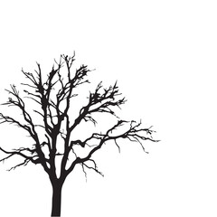 Fototapeta premium Tree silhouette. Black Tree silhouette on white background. Vector illustration.