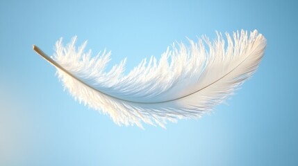 Obraz premium Delicate white feather floating against clear blue sky
