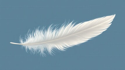 Obraz premium White feather against blue background: soft, delicate details