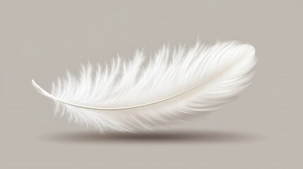 Delicate white feather against soft gray background