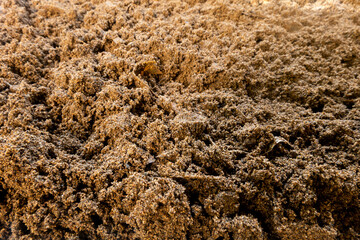 Close-up of peatland background texture