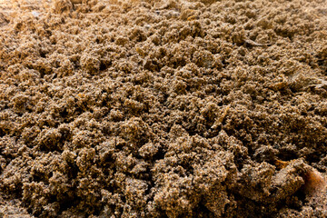 close up of soil